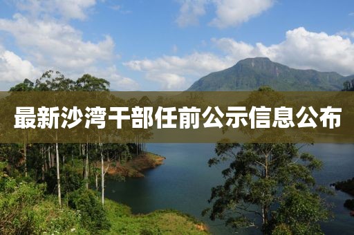 最新沙湾干部任前公示信息公布