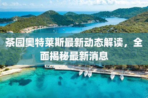 茶园奥特莱斯最新动态解读，全面揭秘最新消息