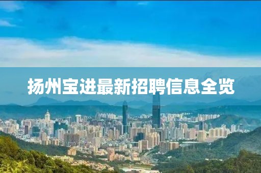 扬州宝进最新招聘信息全览