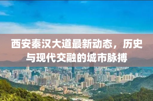 西安秦汉大道最新动态，历史与现代交融的城市脉搏