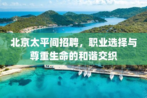 北京太平间招聘，职业选择与尊重生命的和谐交织