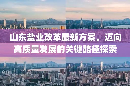 山东盐业改革最新方案，迈向高质量发展的关键路径探索