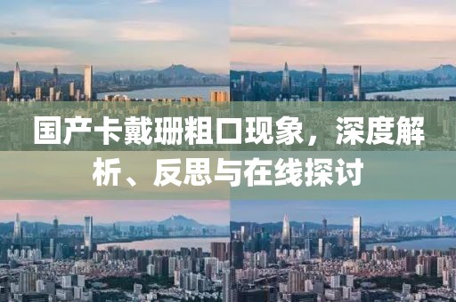 国产卡戴珊粗口现象，深度解析、反思与在线探讨