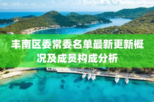 丰南区委常委名单最新更新概况及成员构成分析
