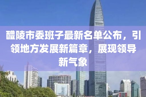 醴陵市委班子最新名单公布，引领地方发展新篇章，展现领导新气象