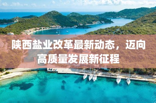 陕西盐业改革最新动态，迈向高质量发展新征程