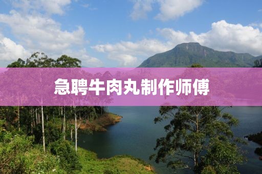 急聘牛肉丸制作师傅