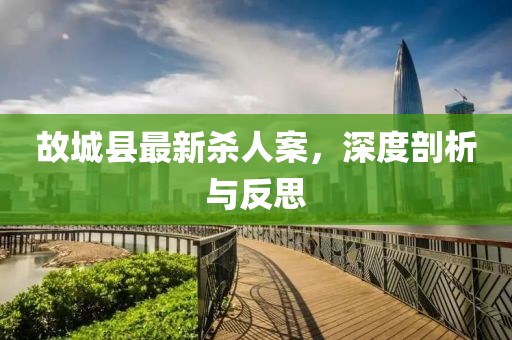 故城县最新杀人案，深度剖析与反思