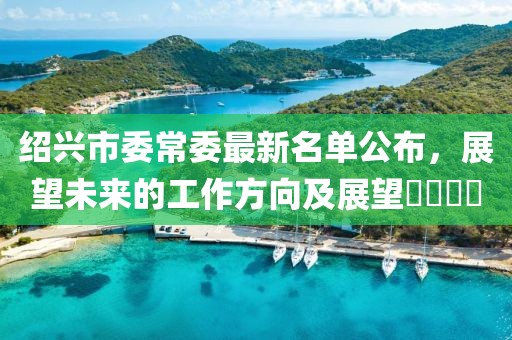 绍兴市委常委最新名单公布，展望未来的工作方向及展望​​​​