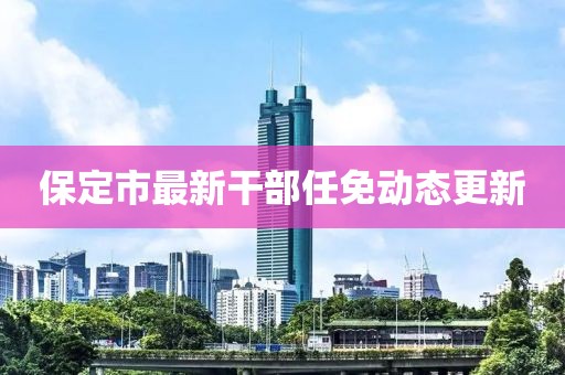 保定市最新干部任免动态更新