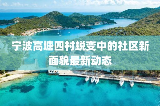 宁波高塘四村蜕变中的社区新面貌最新动态