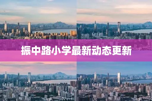 振中路小学最新动态更新