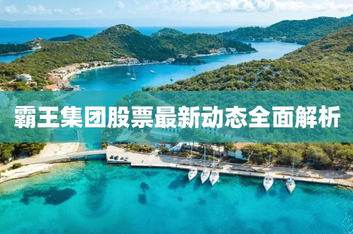 霸王集团股票最新动态全面解析
