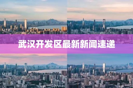 武汉开发区最新新闻速递