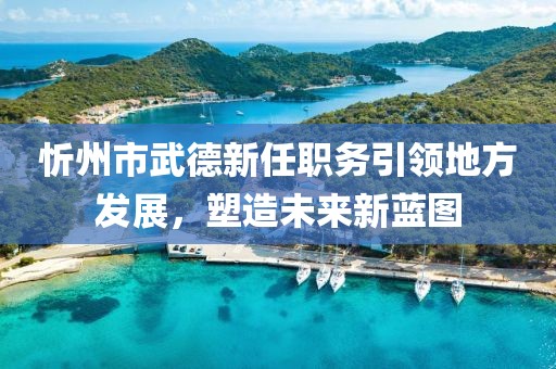 忻州市武德新任职务引领地方发展，塑造未来新蓝图