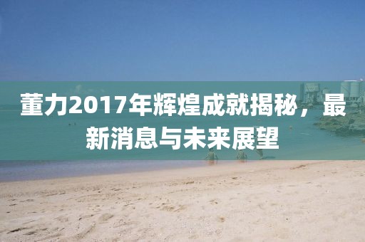董力2017年辉煌成就揭秘，最新消息与未来展望