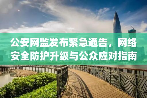 公安网监发布紧急通告，网络安全防护升级与公众应对指南