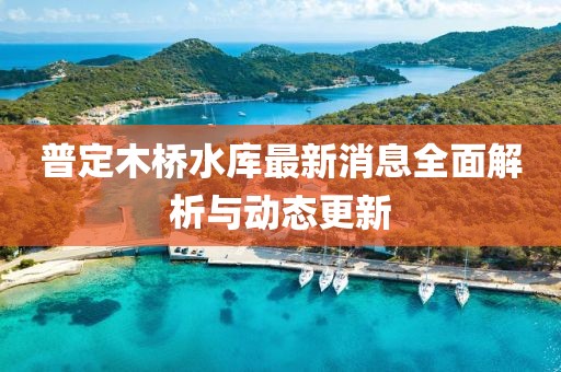 普定木桥水库最新消息全面解析与动态更新