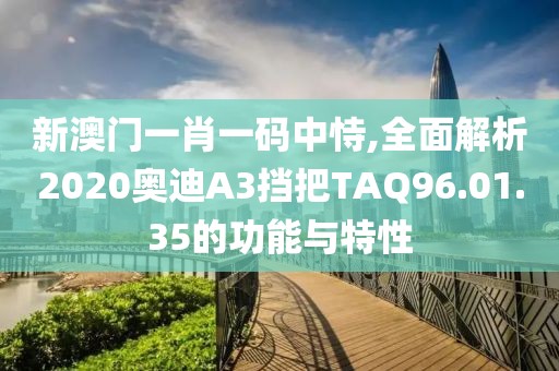 新澳门一肖一码中恃,全面解析2020奥迪A3挡把TAQ96.01.35的功能与特性