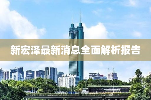 新宏泽最新消息全面解析报告