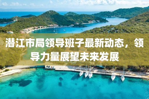潜江市局领导班子最新动态，领导力量展望未来发展