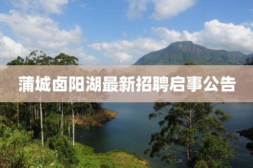 蒲城卤阳湖最新招聘启事公告