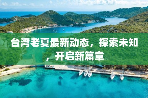 台湾老夏最新动态，探索未知，开启新篇章