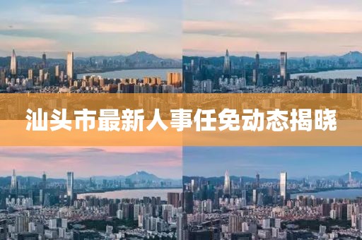 汕头市最新人事任免动态揭晓