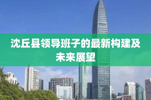 沈丘县领导班子的最新构建及未来展望