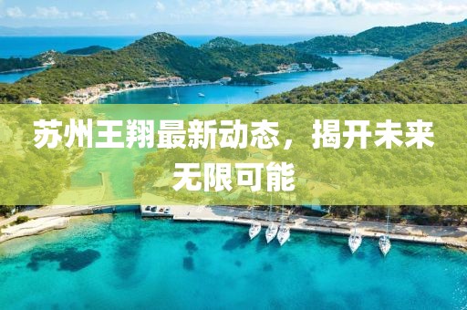 苏州王翔最新动态，揭开未来无限可能
