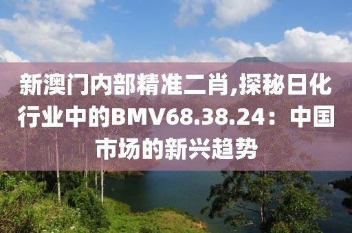 新澳门内部精准二肖,探秘日化行业中的BMV68.38.24：中国市场的新兴趋势