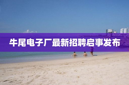牛尾电子厂最新招聘启事发布