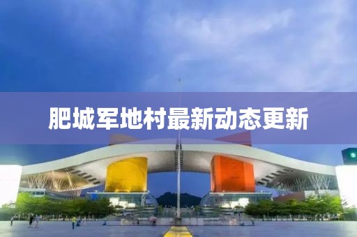 肥城军地村最新动态更新