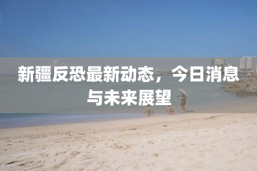 新疆反恐最新动态，今日消息与未来展望