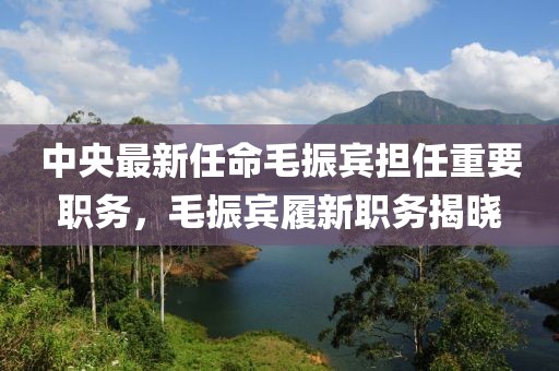 中央最新任命毛振宾担任重要职务，毛振宾履新职务揭晓