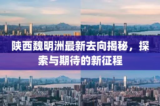 陕西魏明洲最新去向揭秘，探索与期待的新征程