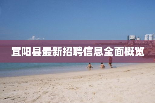 宜阳县最新招聘信息全面概览