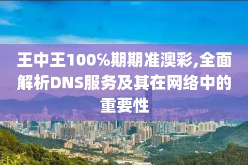 王中王100℅期期准澳彩,全面解析DNS服务及其在网络中的重要性