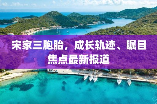 宋家三胞胎，成长轨迹、瞩目焦点最新报道
