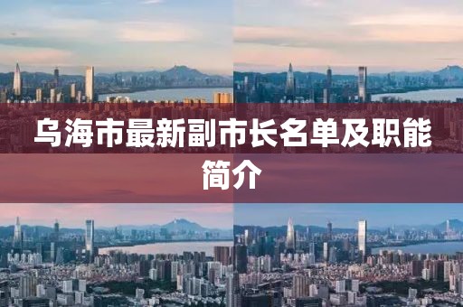 乌海市最新副市长名单及职能简介