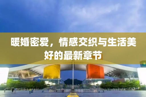 暖婚密爱，情感交织与生活美好的最新章节