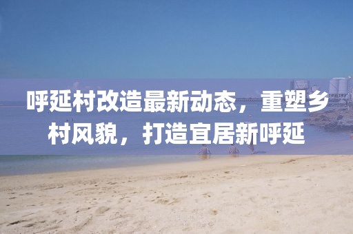 呼延村改造最新动态，重塑乡村风貌，打造宜居新呼延