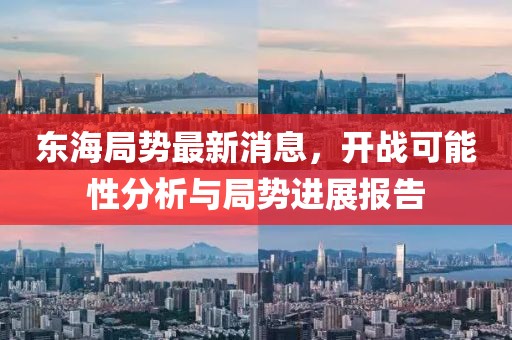 东海局势最新消息，开战可能性分析与局势进展报告
