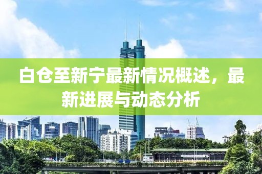 白仓至新宁最新情况概述，最新进展与动态分析