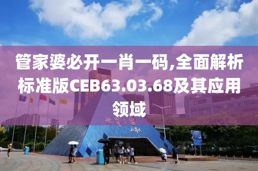 管家婆必开一肖一码,全面解析标准版CEB63.03.68及其应用领域