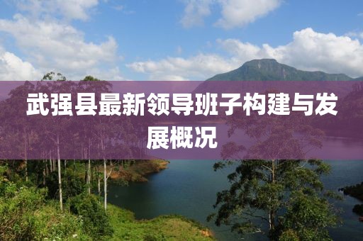 武强县最新领导班子构建与发展概况