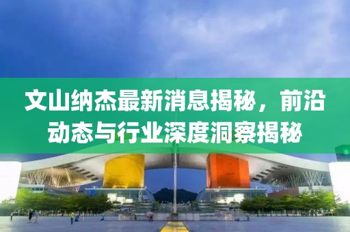 文山纳杰最新消息揭秘，前沿动态与行业深度洞察揭秘