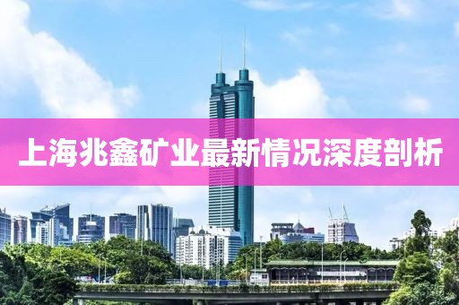 上海兆鑫矿业最新情况深度剖析