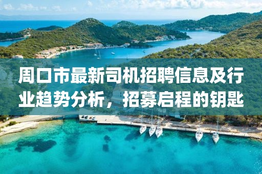 周口市最新司机招聘信息及行业趋势分析，招募启程的钥匙