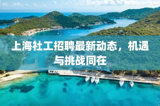 上海社工招聘最新动态，机遇与挑战同在